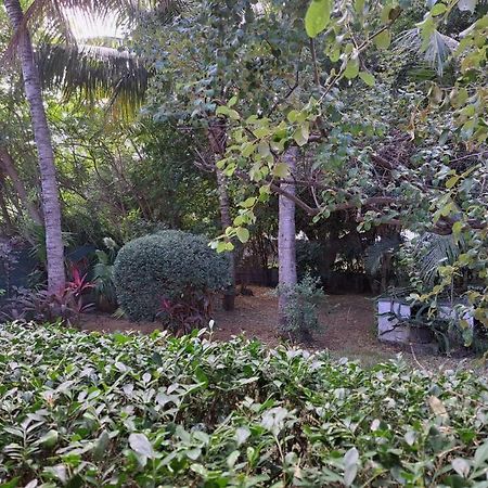 Maison A L'Ermitage لا سالين لو باين المظهر الخارجي الصورة
