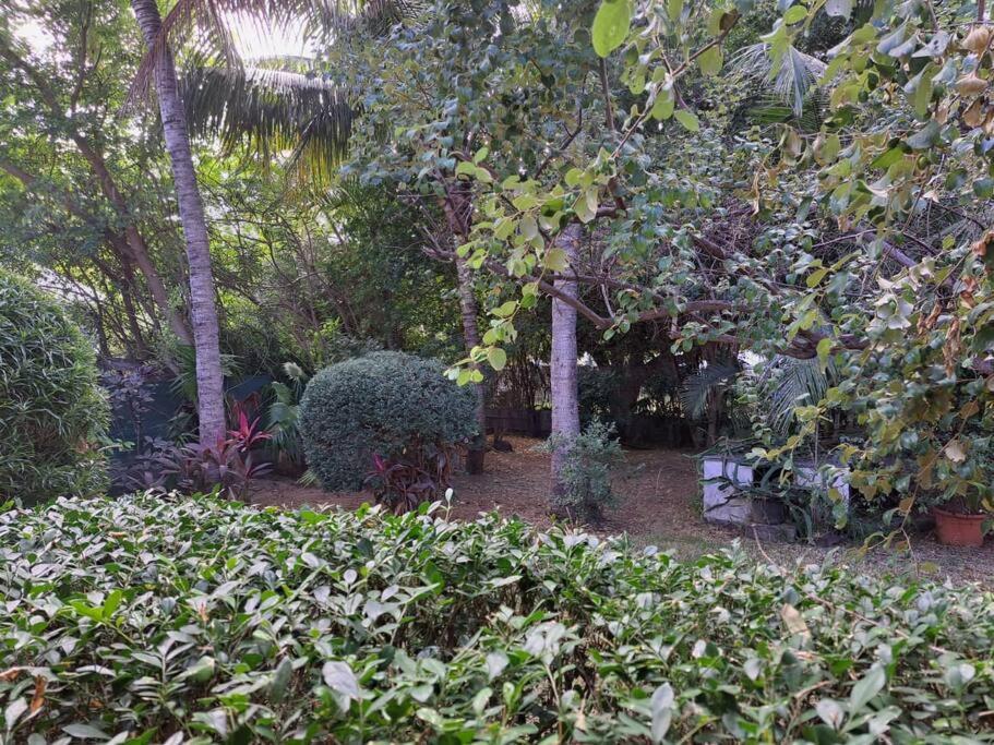 Maison A L'Ermitage لا سالين لو باين المظهر الخارجي الصورة